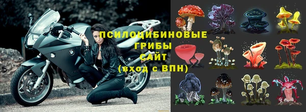 крисы Алексеевка